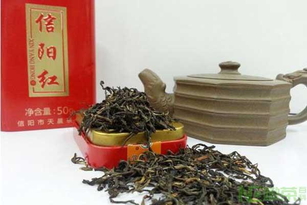 信阳红茶的功效及特点是什么？