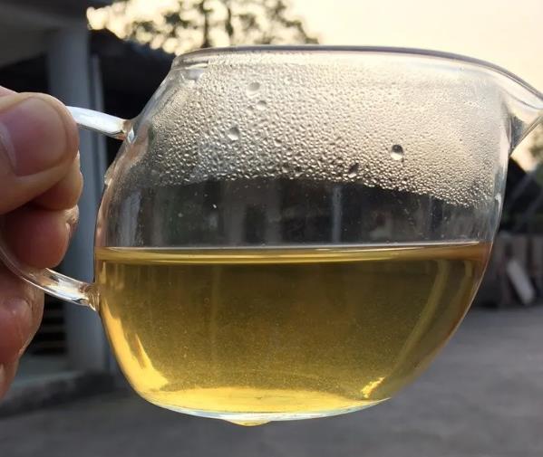 普洱茶生茶中的“糊片”有害吗？
