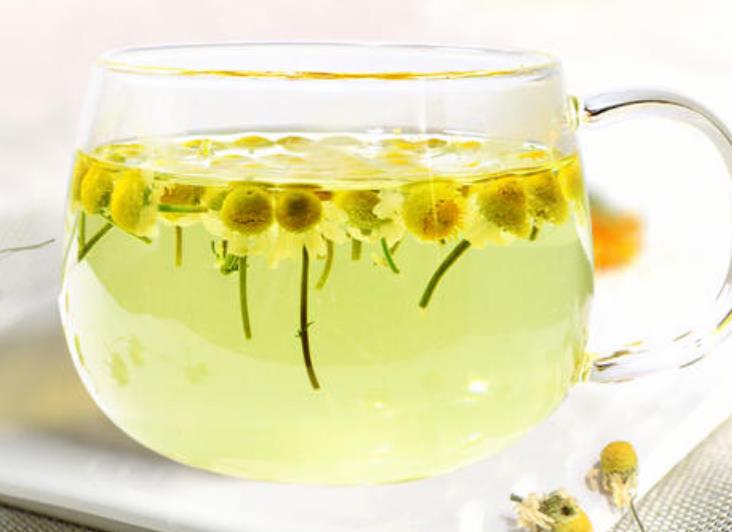胎菊茶里有虫子还能喝吗？