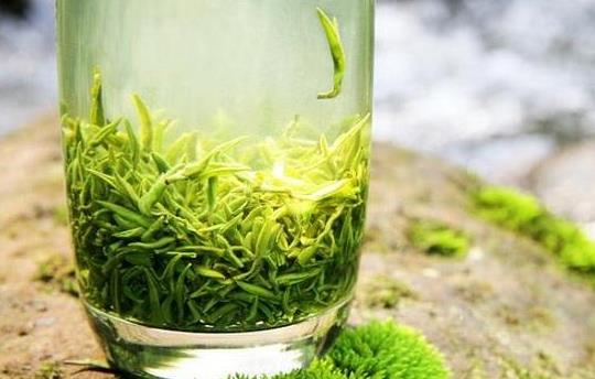 绿茶不适合什么时候喝？
