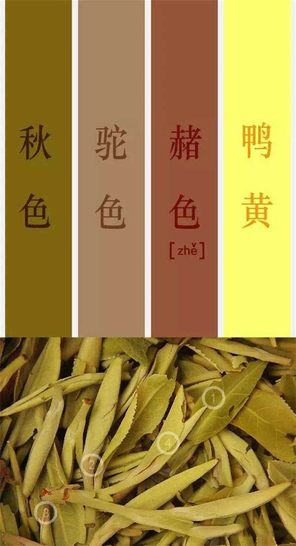 茶叶叶底色谱及颜色描述大全（一）