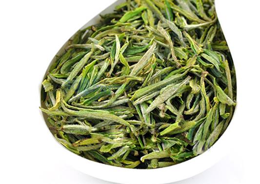 过期的黄山毛峰茶叶怎么处理？