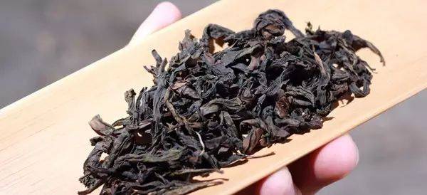武夷岩茶可以像普洱茶一样，越陈越香吗