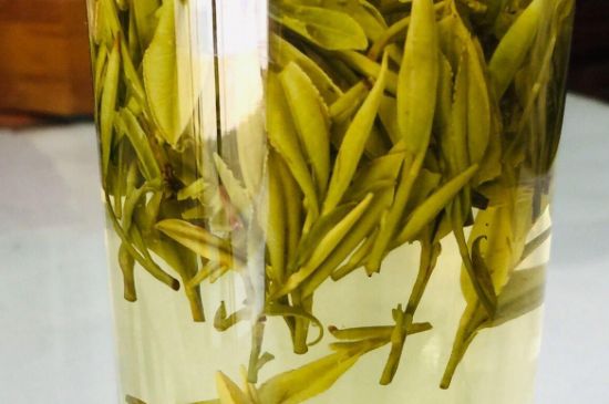 霍山黄芽是十大名茶吗_十大名茶是哪几种茶？