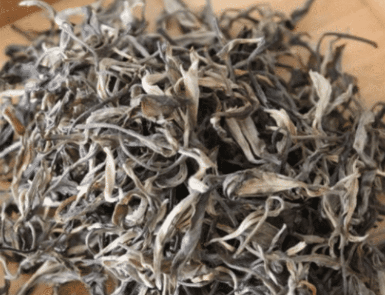生普洱茶多少钱一斤,生普洱茶的最新售价详情