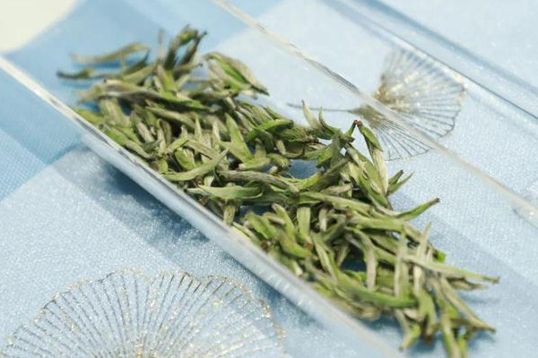 白茶是属于红茶还是属于绿茶_白茶是发酵茶吗