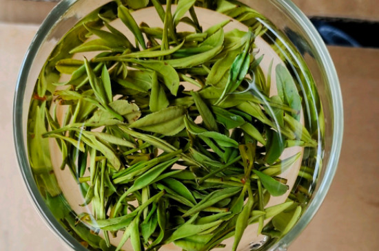 荒山野茶属于什么茶_野茶属于红茶还是绿茶？