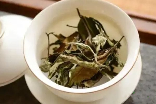 白茶属于什么茶红茶还是绿茶_白茶是哪种茶类