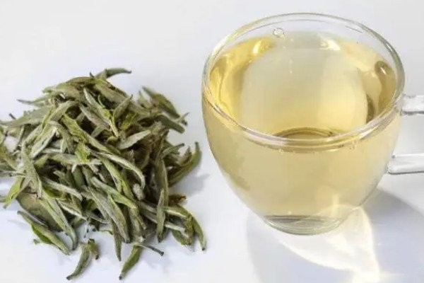 白茶属于什么茶红茶还是绿茶_白茶是哪种茶类