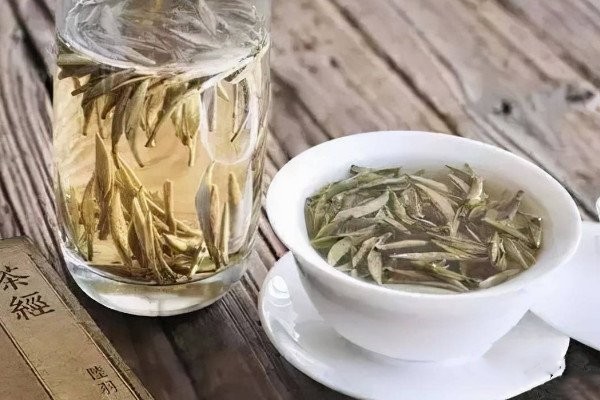 白茶属于绿茶吗_白茶属于什么性质的茶