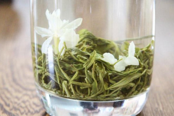 茉莉花茶是绿茶吗_茉莉花茶属于什么茶