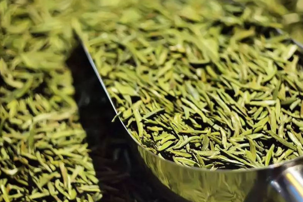 绿茶怎么保存最好_绿茶的保存和储藏方法