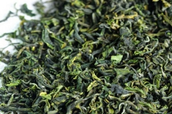绿茶包括哪些茶叶品种_绿茶都包括什么茶