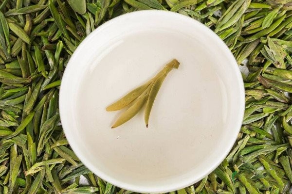绿茶的保质期一般是多久_绿茶的存放时间是多久