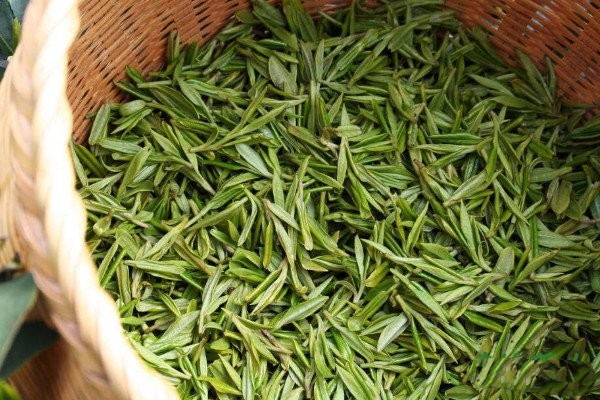 龙井茶是绿茶吗?龙井茶是绿茶还是什么