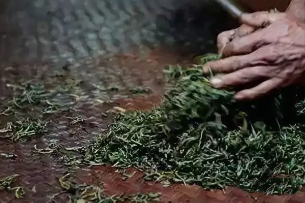 绿茶制作工艺_绿茶的制作工艺分为几步