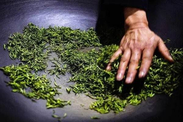 绿茶的制作流程五个步骤_绿茶的制作工艺流程
