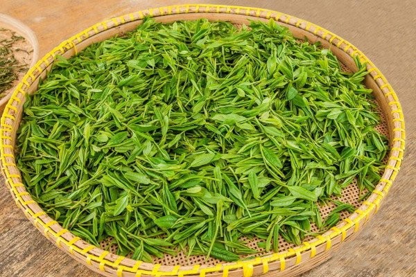 绿茶有哪几种茶叶_绿茶种的名贵茶叶有哪些