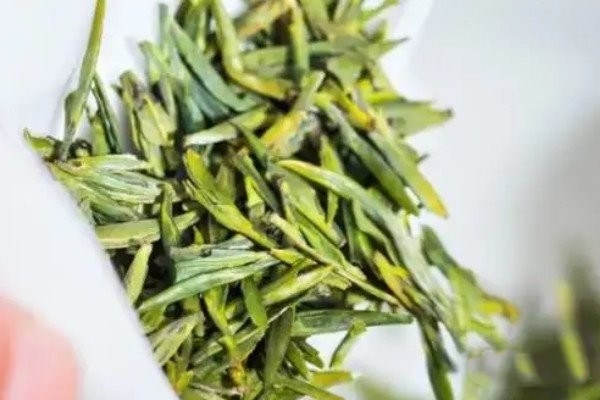 绿茶的制作工艺流程_绿茶的制作一般经过哪几个步骤