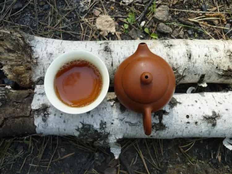 凤凰单丛茶中的“蜜兰香”