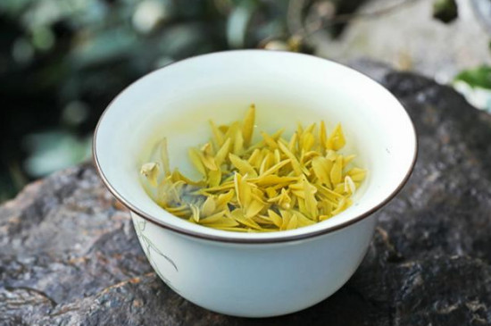 黄金芽茶叶多少钱一斤_580～8000元左右一斤