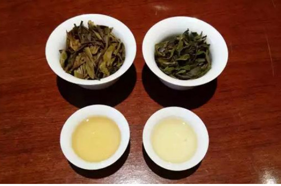 黄茶产地在哪里的最好_湖南省/贵州省
