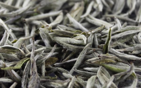 白毫乌龙茶属于什么茶？这些可以让你对它有更深的了解哦！