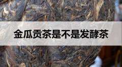 金瓜贡茶是不是发酵茶？