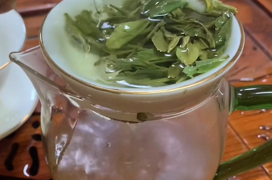 云雾茶是绿茶吗