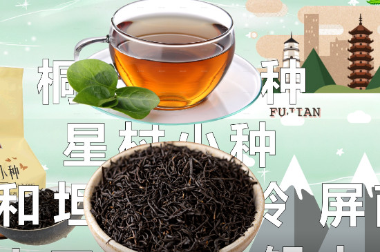 正山小种是什么茶（红茶）