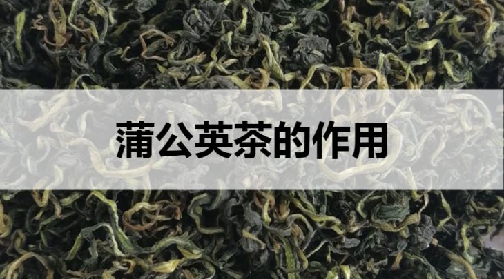 蒲公英茶的作用有哪些？