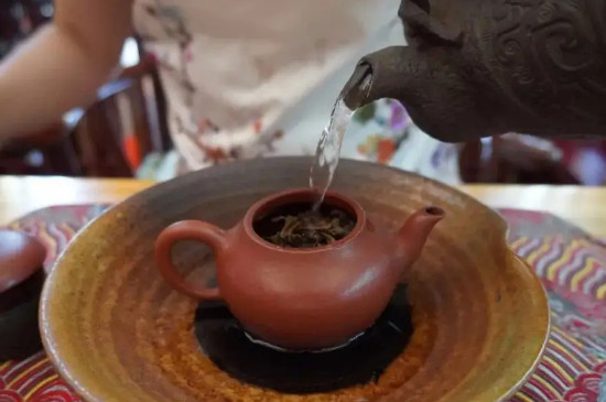 普洱生茶为什么不用紫砂壶泡