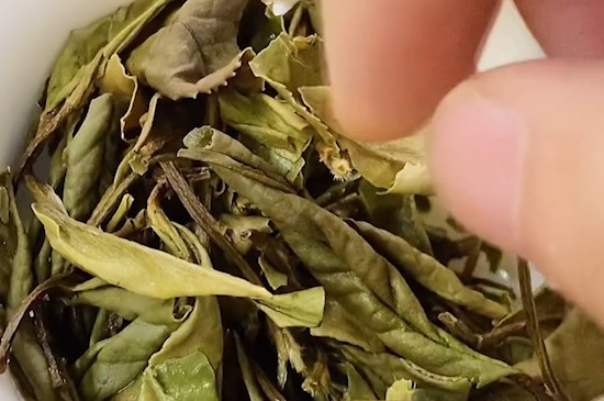 茶叶的六大种类是什么
