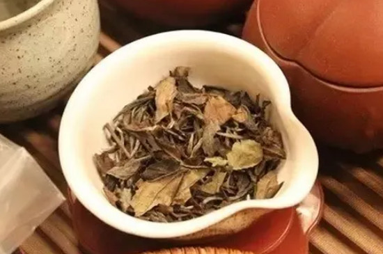 杨林沟白茶是什么茶