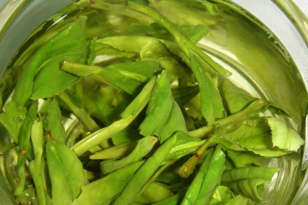 杭州龙井是绿茶吗？是绿茶