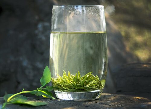 绿茶品种排名前四名_口感最好的绿茶品种（图片）