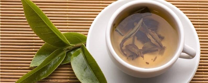 口感甘醇清香绿茶精选为生活添彩