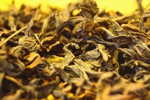 肉桂茶是什么茶种_肉桂茶是红茶还是绿茶(半发酵青茶)