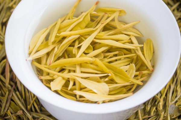 黄金芽属于什么茶_黄金芽属于绿茶还是白茶(黄色系变异绿茶)