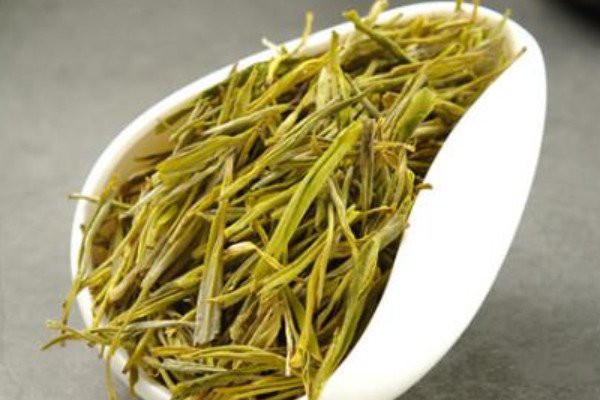 黄金芽属于什么茶_黄金芽属于绿茶还是白茶(黄色系变异绿茶)
