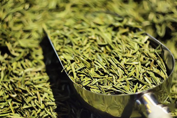 绿茶如何保存最好_绿茶用什么容器保存比较好