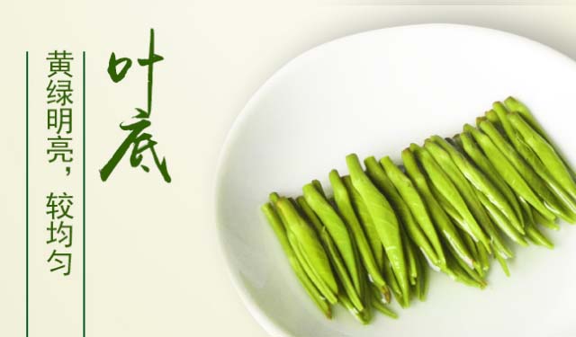 【绿茶】太平猴魁茶是绿茶吗