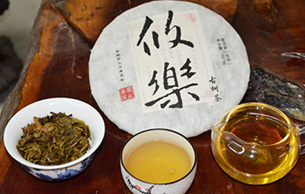 决定普洱茶苦涩强度的因素  影响一款普洱茶苦涩强度的因素有哪些
