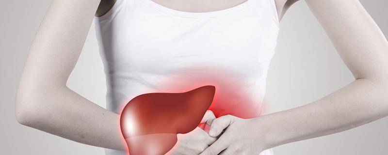 养肝护肝的5种食材 肝脏不好的症状有哪些!