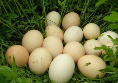 鸡蛋放了2个月能吃吗，怎么判断鸡蛋坏没坏