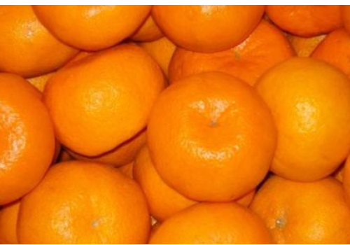 椪柑是橙子还是桔子 和橘子的区别