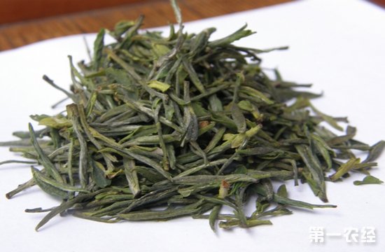 黄茶是不是绿茶？黄茶的品质特征