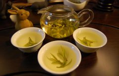 制作黄茶的原料及其黄茶制作的历史工艺