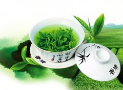茶文化-专家研究：绿茶可以应用于生产抗