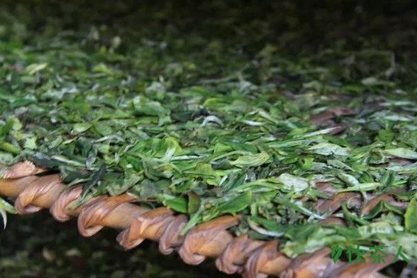 红茶制作过程和方法_红茶的做法步骤
